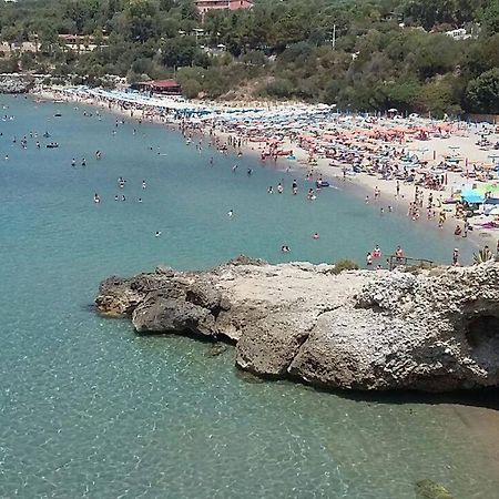 Delfino Hotel Marina di Camerota Ngoại thất bức ảnh